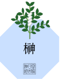 崇敬会 特典 榊